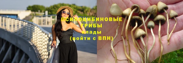apvp Алексеевка