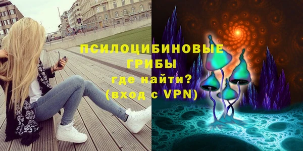 тгк Абаза