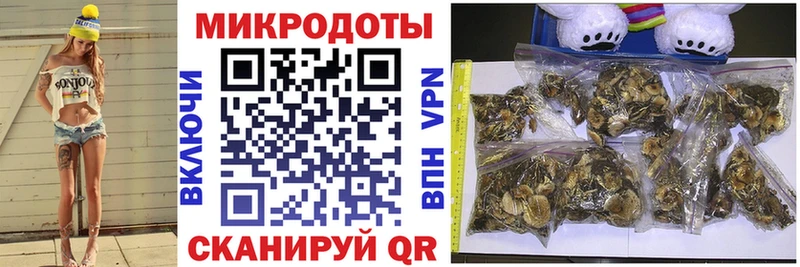 Псилоцибиновые грибы Psilocybine cubensis  shop наркотические препараты  Балахна  купить наркотик 