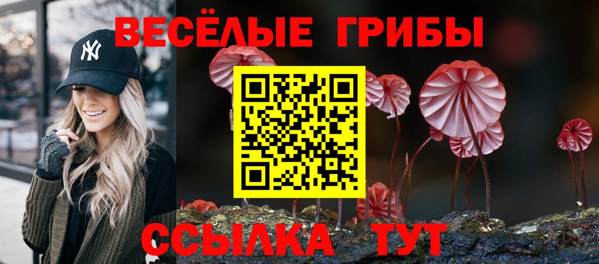 Галлюциногенные грибы Psilocybe  Галлюциногенные грибы прущие грибы  Вход с VPN  закладка  Балахна 